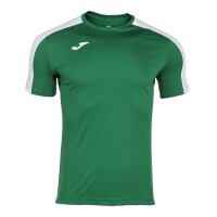 Shirt • Joma • Academy III • Grün/Weiß