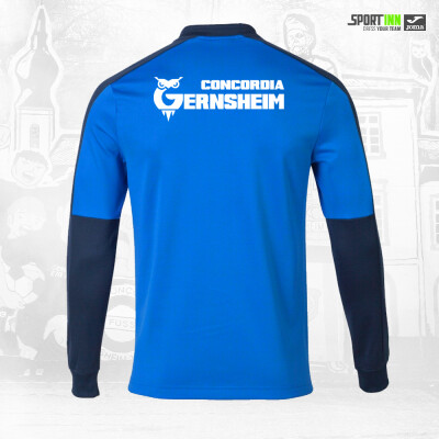 Pullover • Eco Champ • SVC • Blau
