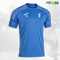 Shirt • Championship VIII • VfR Frankenthal • Blau